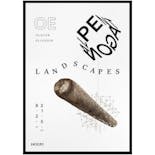 LANDSCAPES展 ポスター + オーダーフレーム